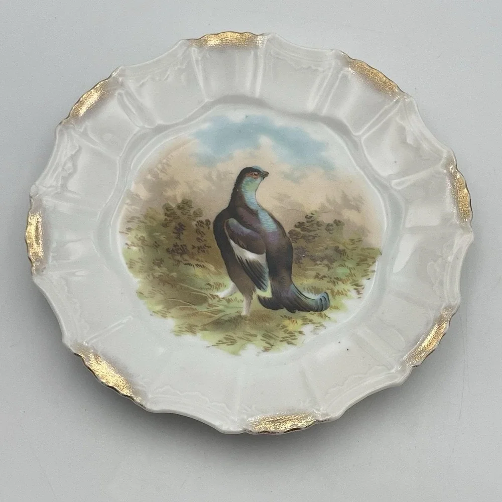 Antique 1920s Silesia‎ Germany Game Bird Scenic Porcelain Cabinet Plate 8